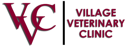 Village Veterinary Clinic